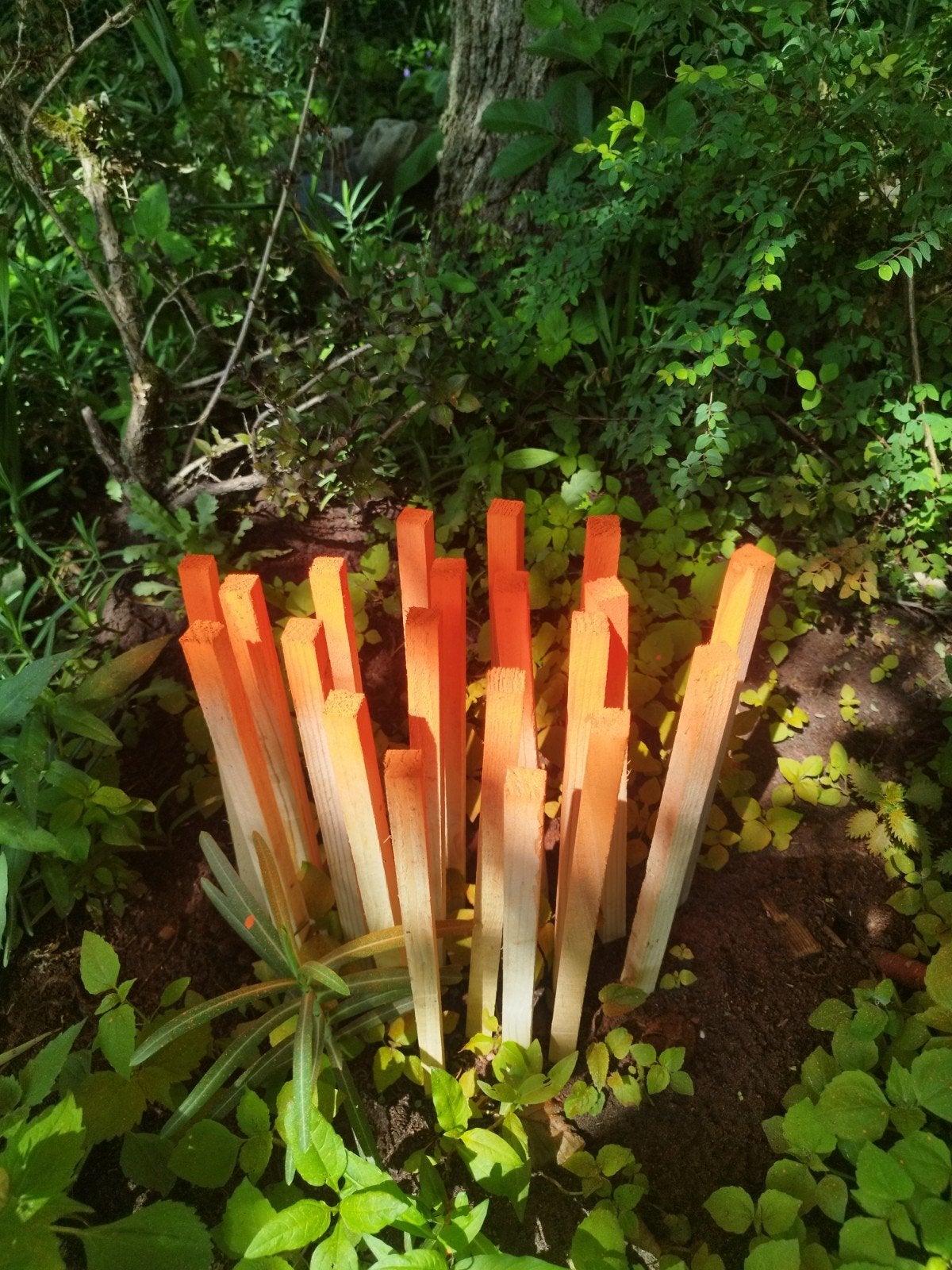 Vuren Piketten voor uitzetten - 35 cm lang. 20st 10,-, Ophalen of Verzenden, Nieuw, Overige typen