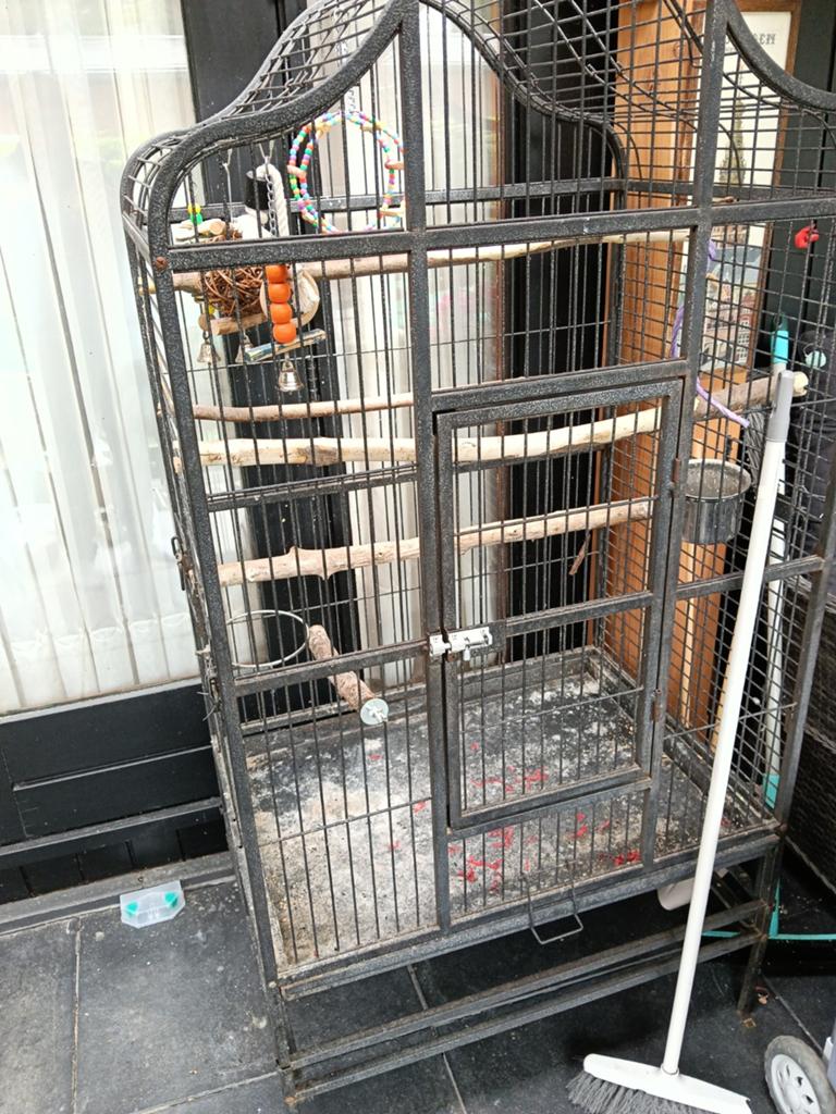 Vogel kooi bieden, Dieren en Toebehoren, Vogels | Parkieten en Papegaaien, Meerdere dieren, Parkiet