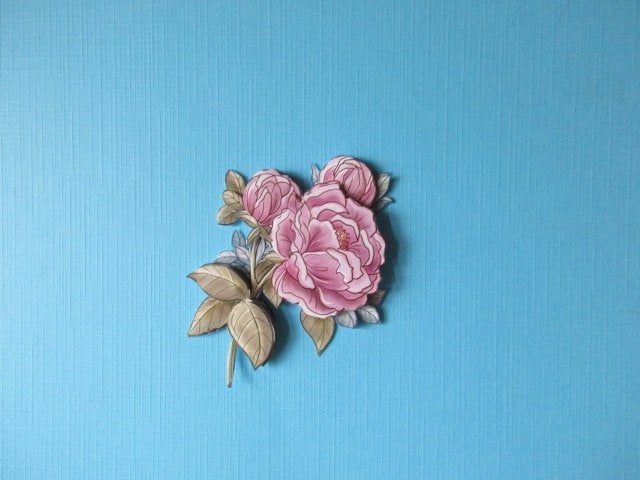 y610 Bloemen, Verzenden, Nieuw, Natuur, Overige typen