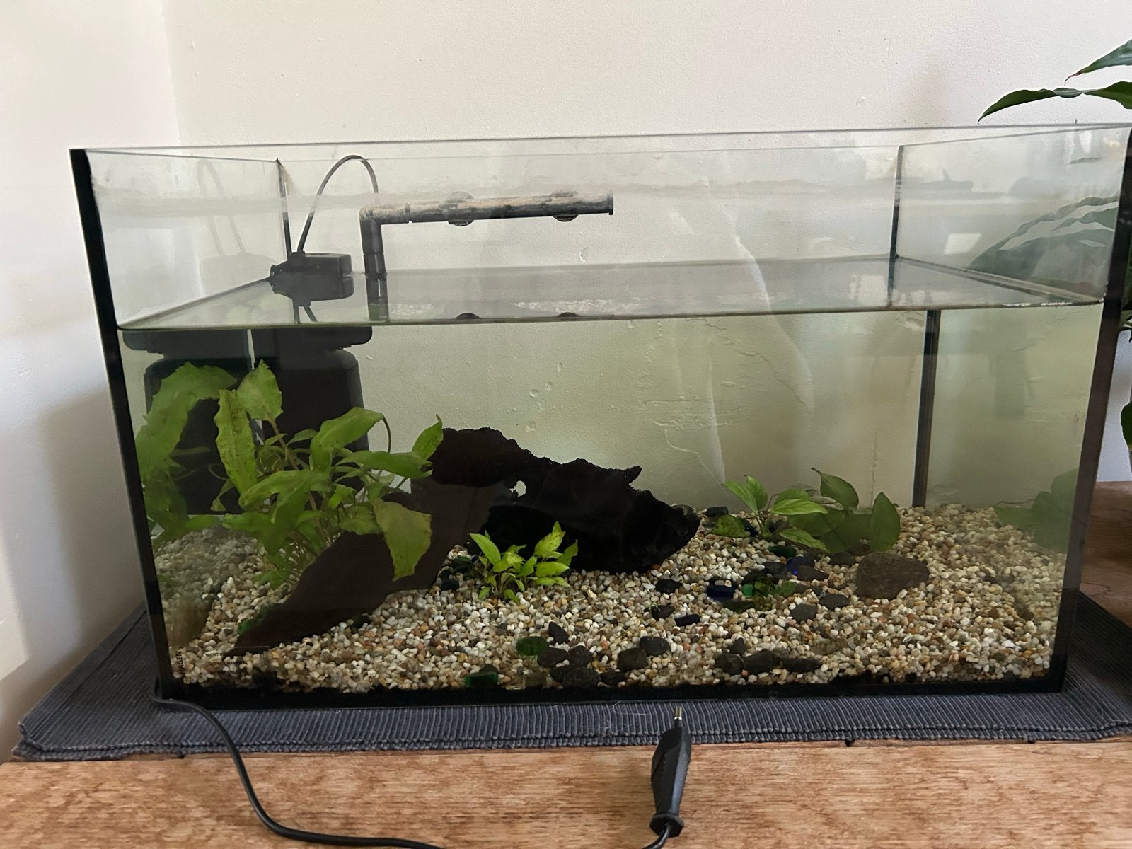 Aquarium bak – 50 x 30 x 30 cm, Ophalen, Overige typen, Overige merken, Zo goed als nieuw