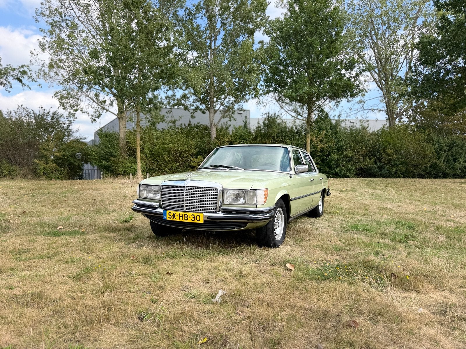 Mercedes-Benz S-Klasse 4.5 450 SE AUT 1973 Groen, Auto's, Automaat, 8 cilinders, 4520 cc, Particulier