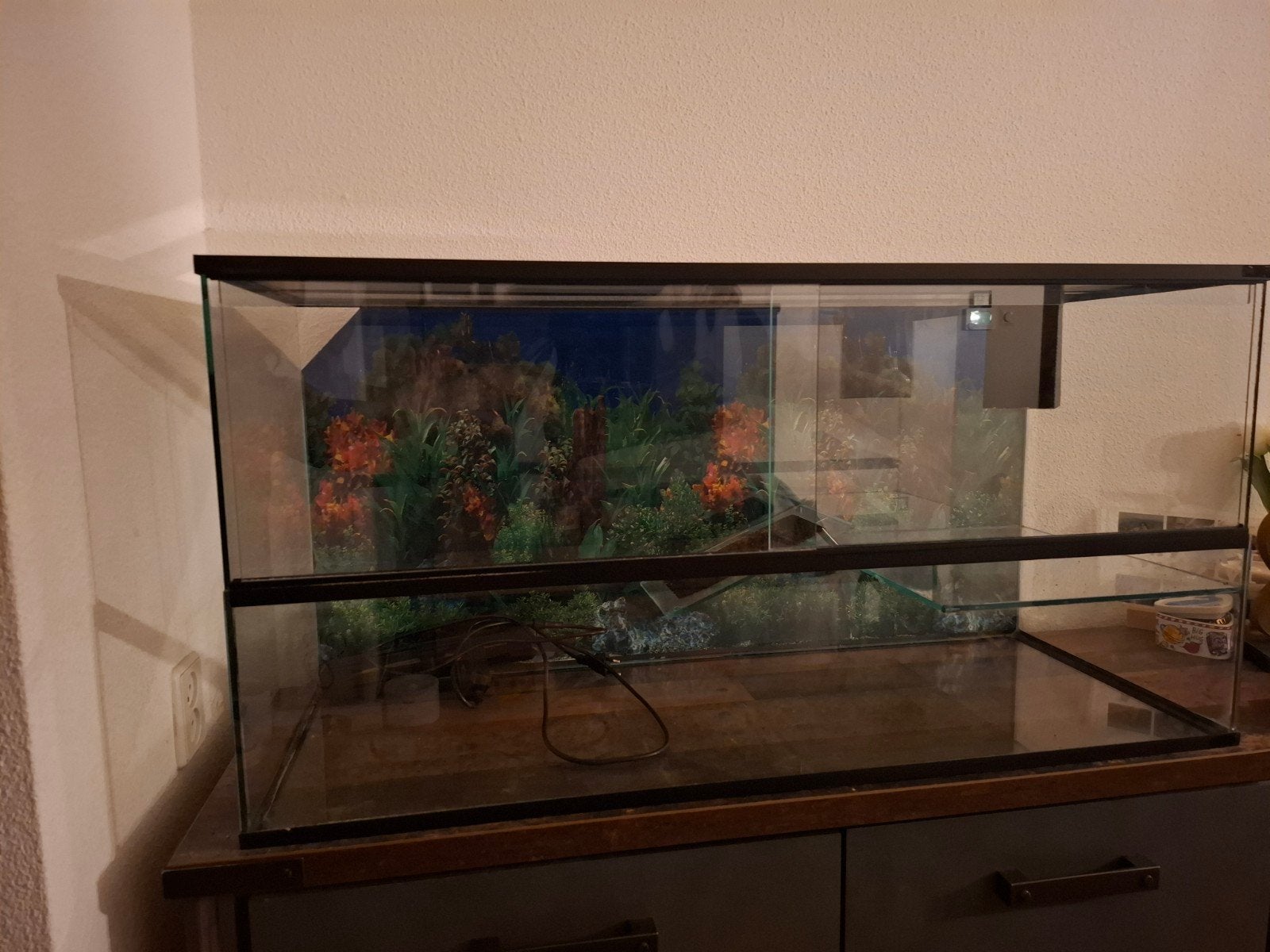 Waterschilpadden terrarium aquarium, Dieren en Toebehoren, Ophalen
