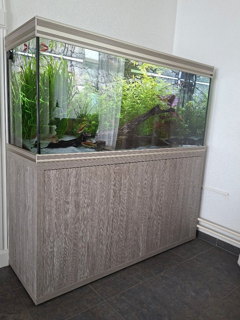Aqualantis Aquarium, Ophalen, Aquatlantis, Inclusief vissen, Gevuld zoetwateraquarium