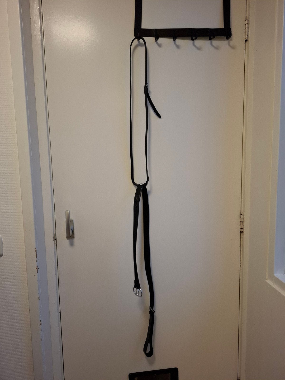 martingaal maat cob, Dieren en Toebehoren, Springen, Ophalen of Verzenden, Epplejeck, Cob