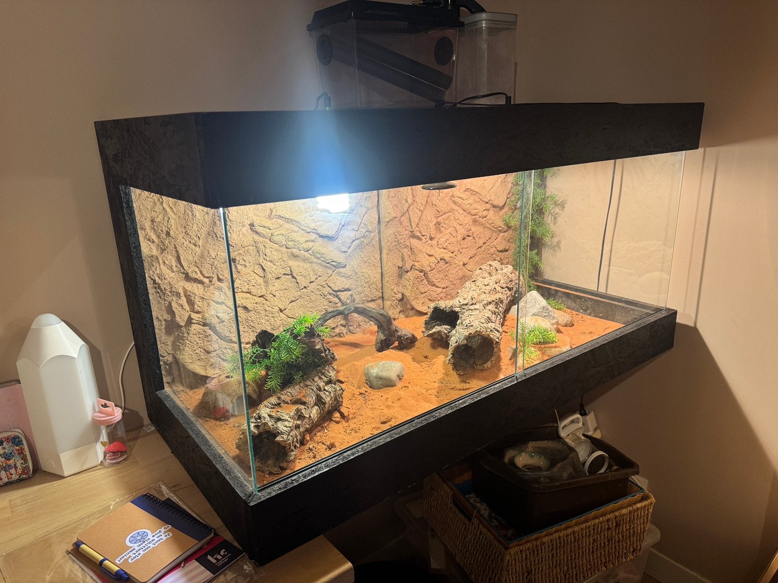 Terrarium, Ophalen, Gebruikt, Terrarium of Paludarium