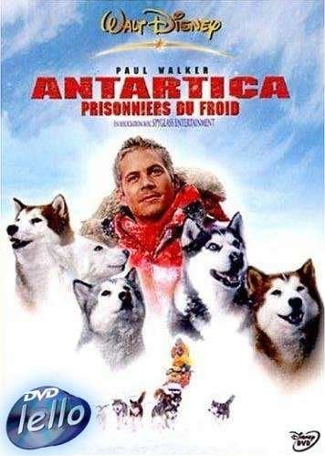 Disney's Eight Below (2006 Paul Walker, Bruce Greenwood) FR, Cd's en Dvd's, Alle leeftijden, Ophalen of Verzenden, Nieuw in verpakking