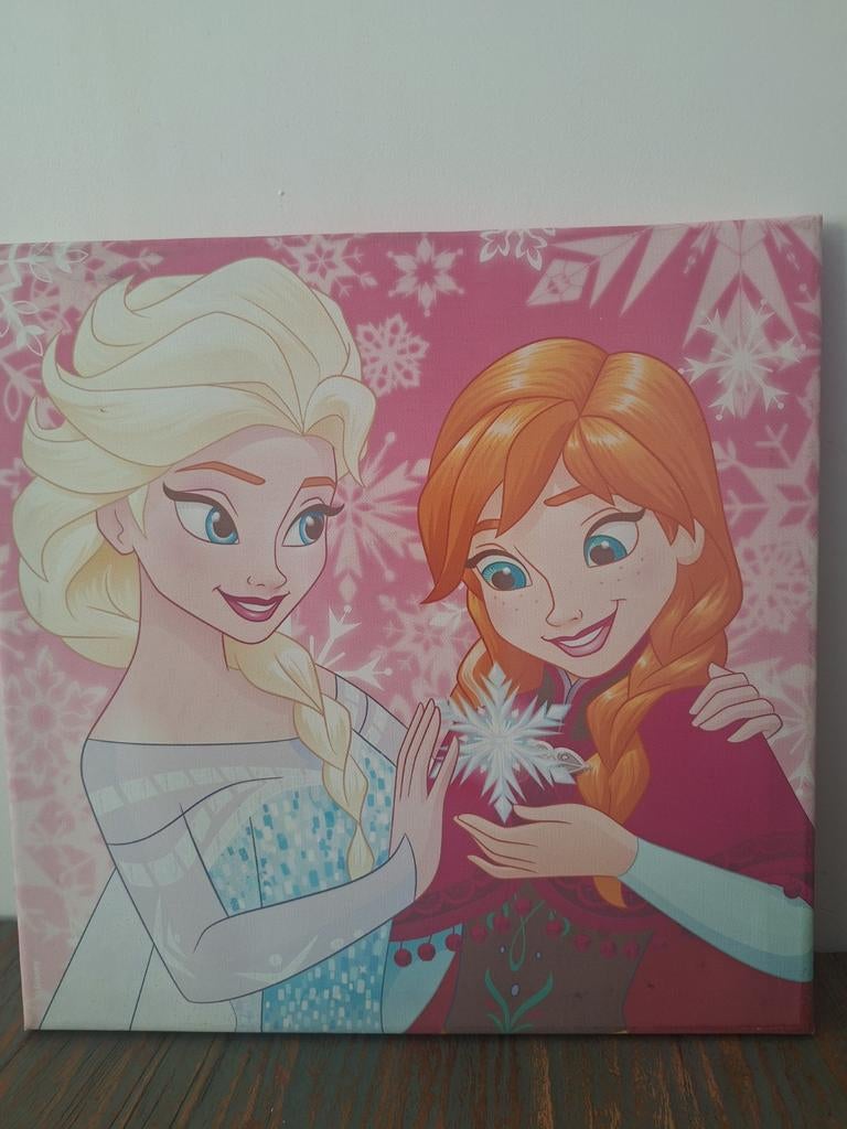 Canvas Frozen 30x30 cm, Ophalen of Verzenden, Zo goed als nieuw, Wanddecoratie