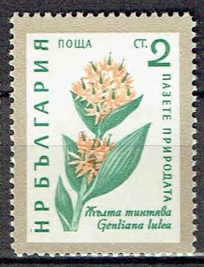 Bulgarije 1960 Gele Gentiaan Bloemen, Verzenden, Postfris, Dier of Natuur
