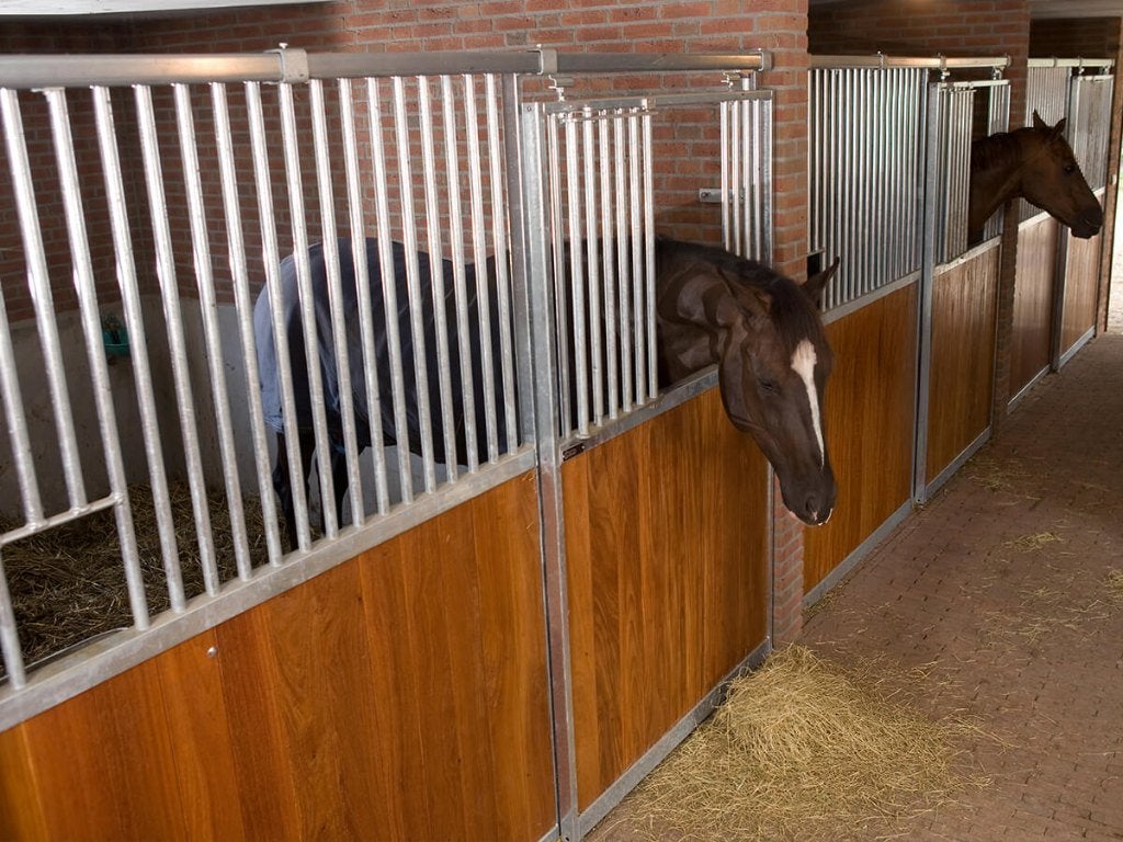 Veilige voorwanden uit voorraad – Eigen productie in NL, Dieren en Toebehoren, Stalling en Weidegang, Stalling, 1 paard of pony