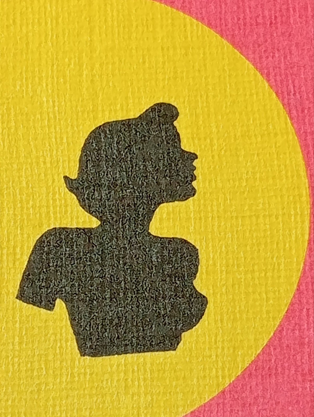 Edwin Janssen pop Art zeefdruk., Ophalen of Verzenden