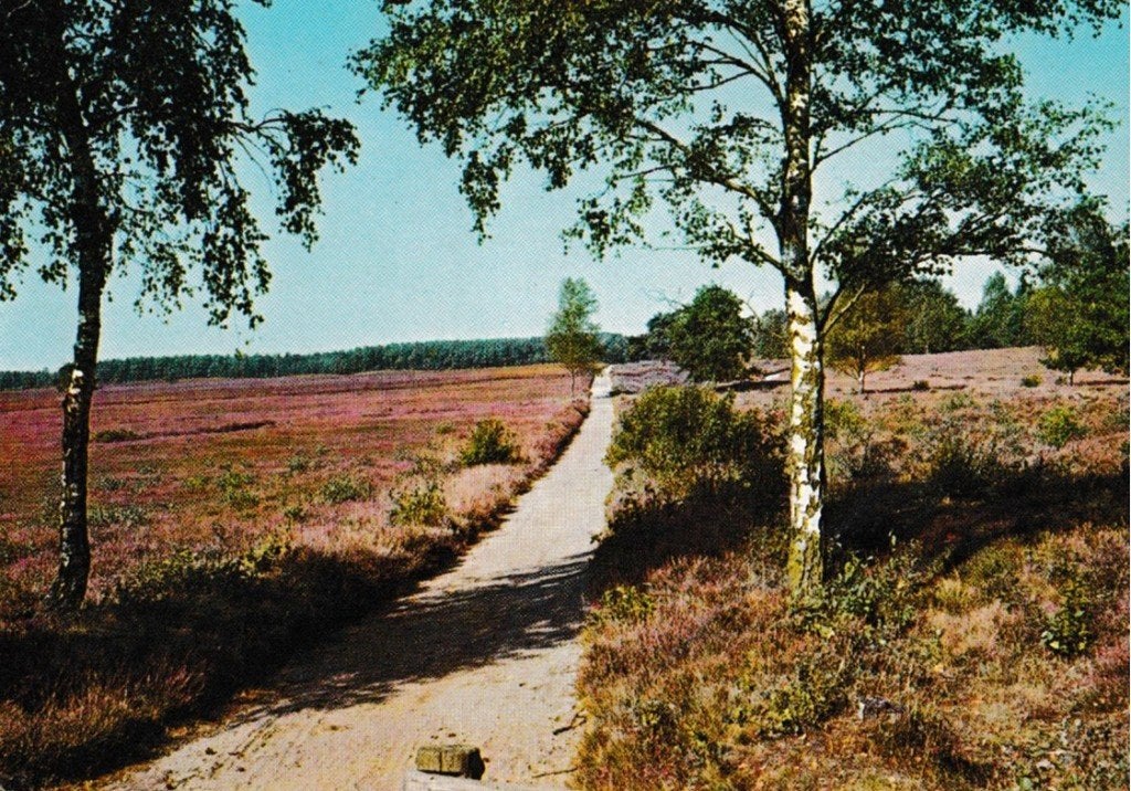 Schaarsbergen    661, Ophalen of Verzenden, Voor 1920