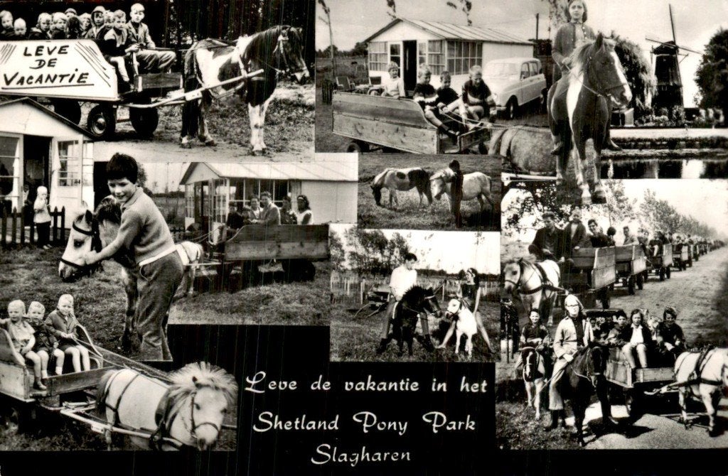 Slagharen - Shetland Pony Park - Ponyritten, Ophalen of Verzenden, 1960 tot 1980, Gelopen, Overijssel