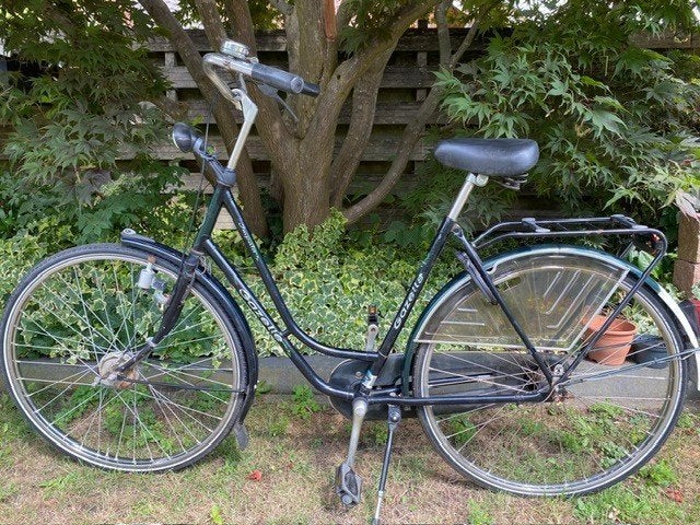 Goede, stevige damesfiets Gazelle Impala 54, Ophalen, Terugtraprem, Gazelle, 53 tot 56 cm