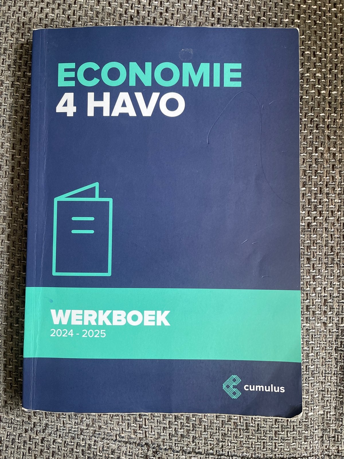 Economie 4 HAVO Werkboek 2024-2025 - Cumulus, Boeken, Schoolboeken, Gelezen, Economie, HAVO, Ophalen of Verzenden