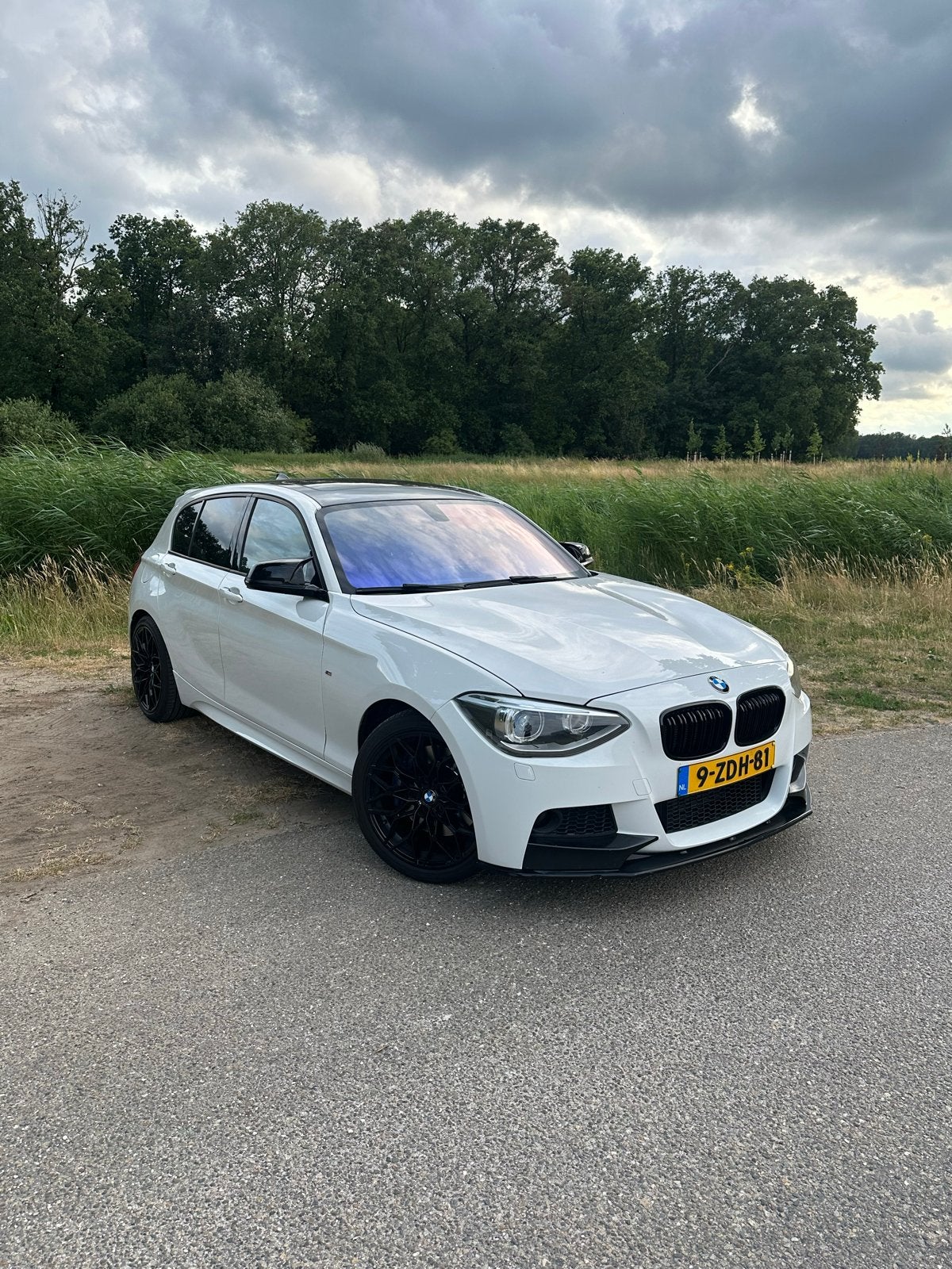 BMW 1-Serie 118i pano m pakket, Auto's, Achterwielaandrijving, 1295 kg, 4 cilinders, Wit