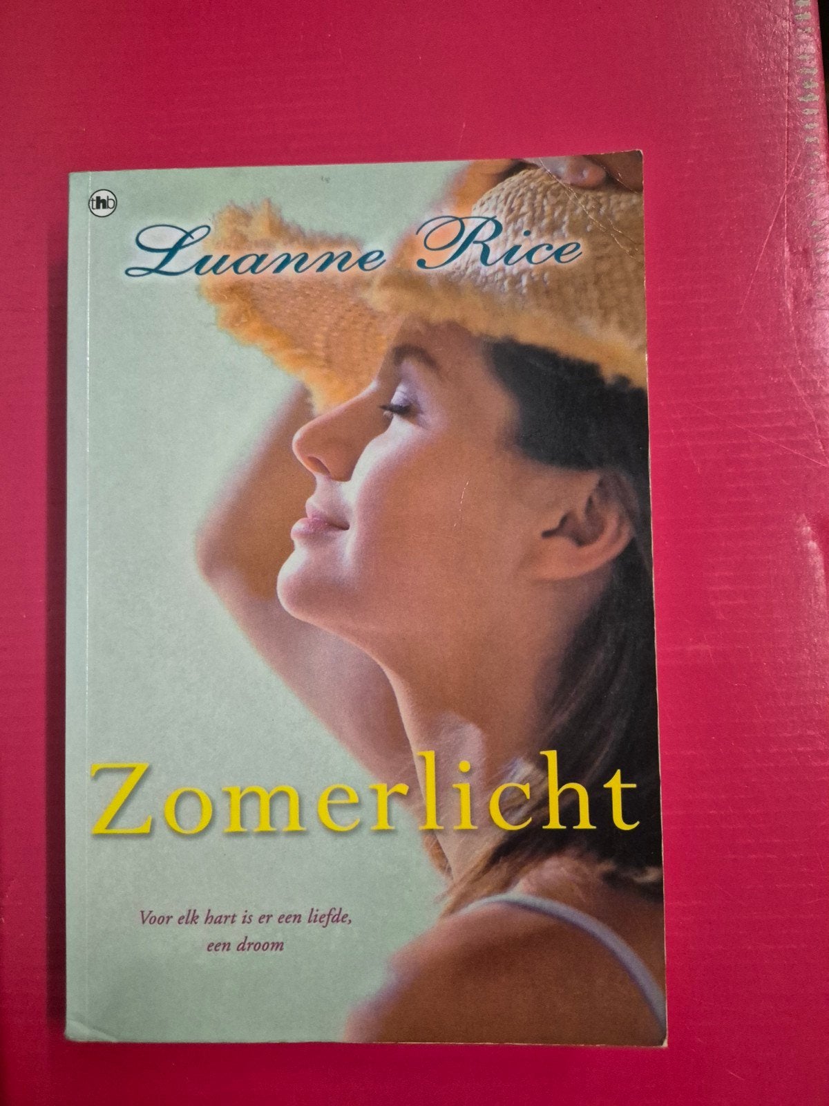 Zomerlicht - Luanne Rice (Roman), Ophalen of Verzenden, Gelezen, Luanne Rice, Nederland