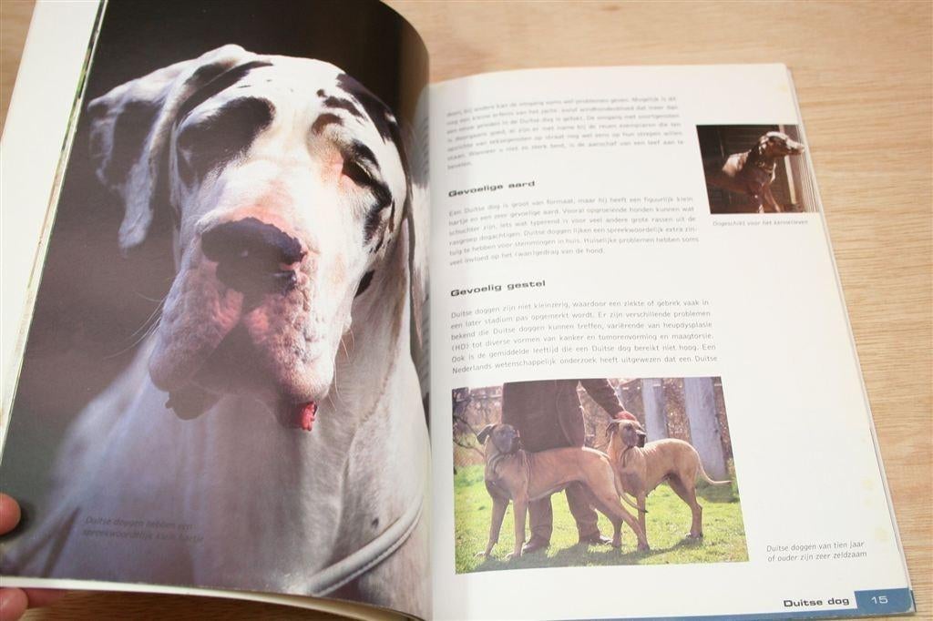 Duitse Dog — Basisgids Dierenverzorging — Verhoef, Ophalen of Verzenden, Gelezen, Honden