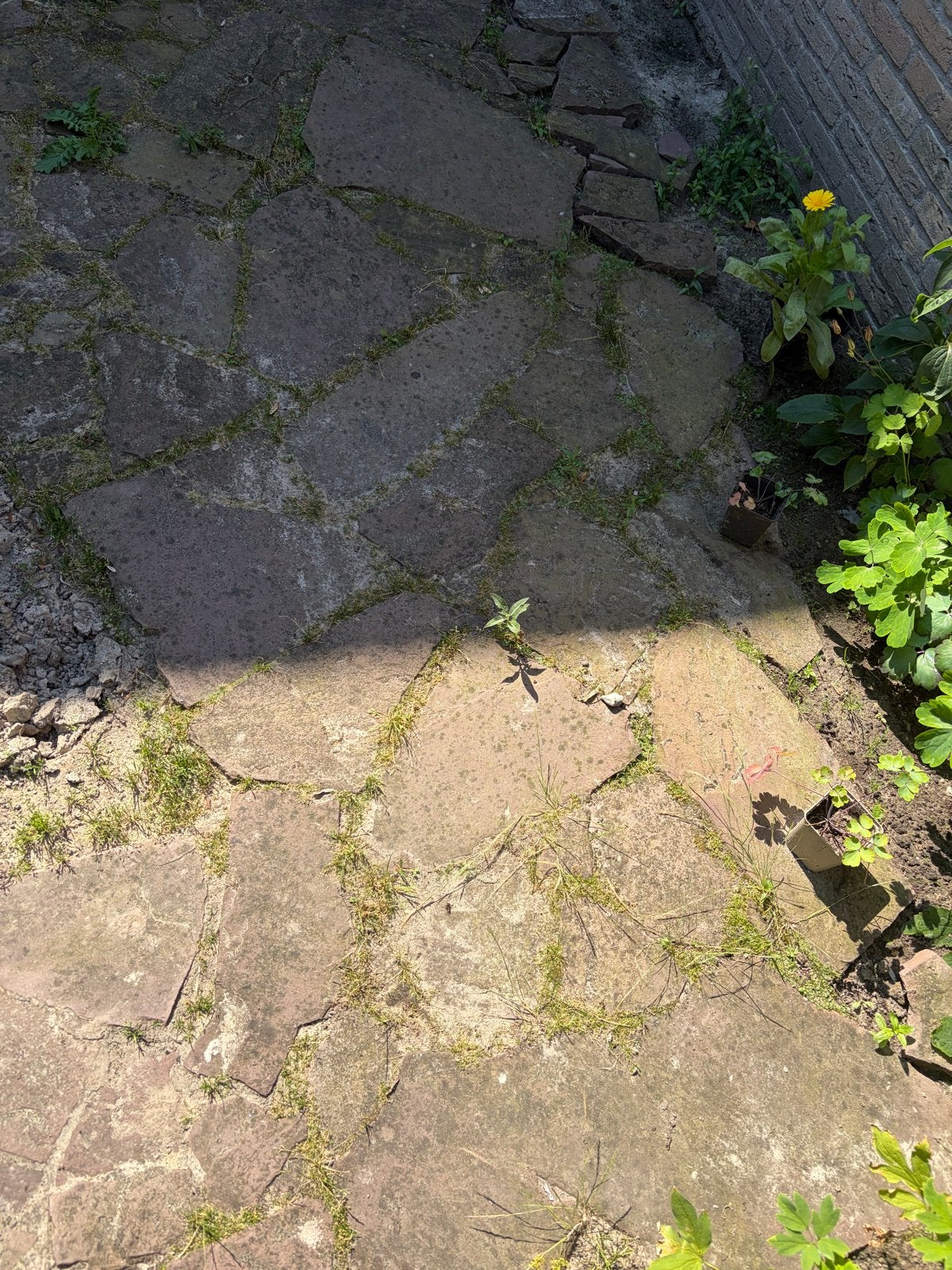 Staptegel Flex stones Bruin - ca. 20m2, Tuin en Terras, Tegels en Klinkers, Ophalen, Gebruikt, Terrastegels, Natuursteen
