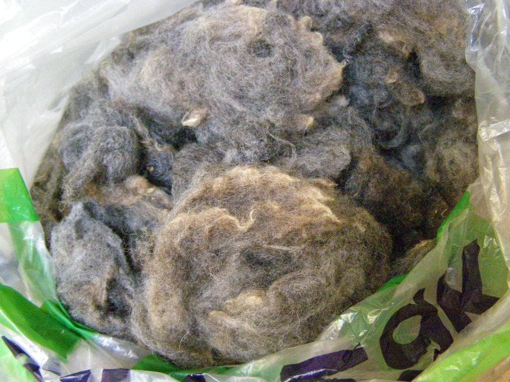 gewassen grijze schapenwol wol spinwol spinnewiel spinnen, Ophalen of Verzenden, Nieuw, Knutselmateriaal