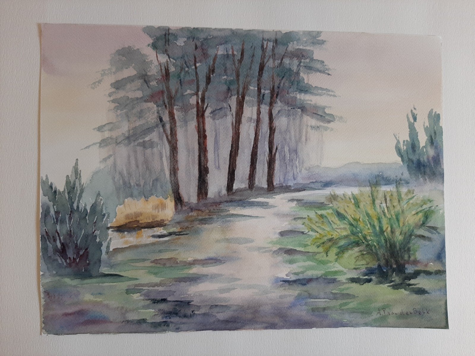 aquarel terschelling bij lies 2011, Antiek en Kunst, Kunst | Schilderijen | Klassiek, Ophalen of Verzenden
