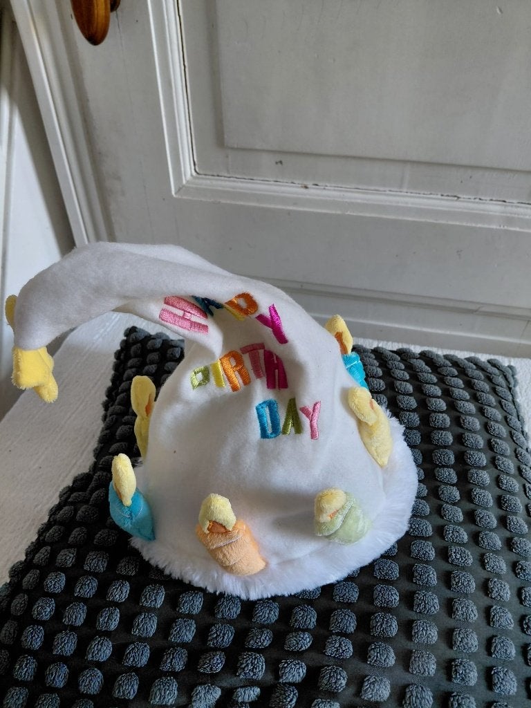 Verjaardag muts, Ophalen of Verzenden, Gebruikt