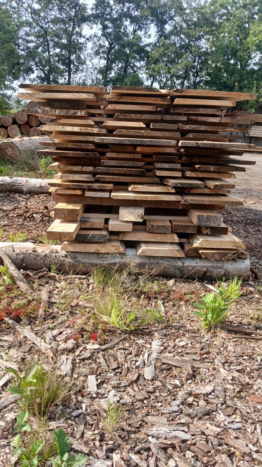 Eiken schaaldelen  en balken, Ophalen, Nieuw, 250 cm of meer, Planken
