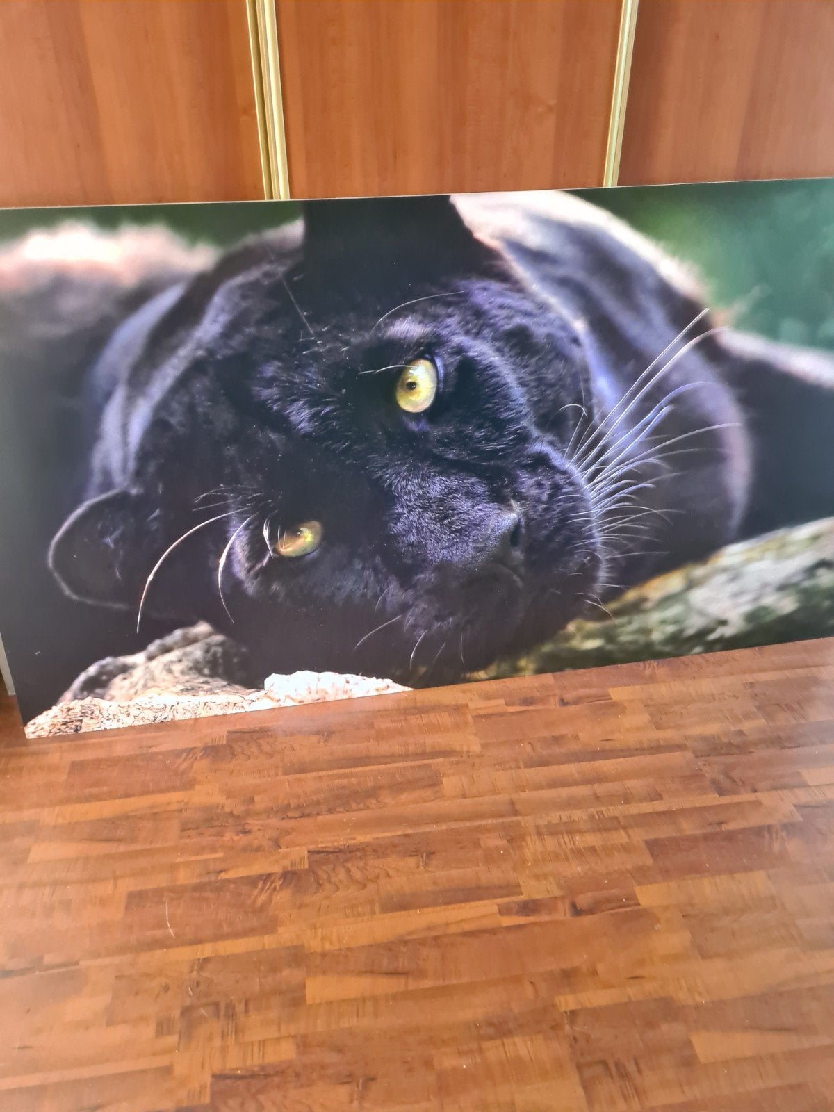 Groot schilderij van zwarte panter, Ophalen of Verzenden