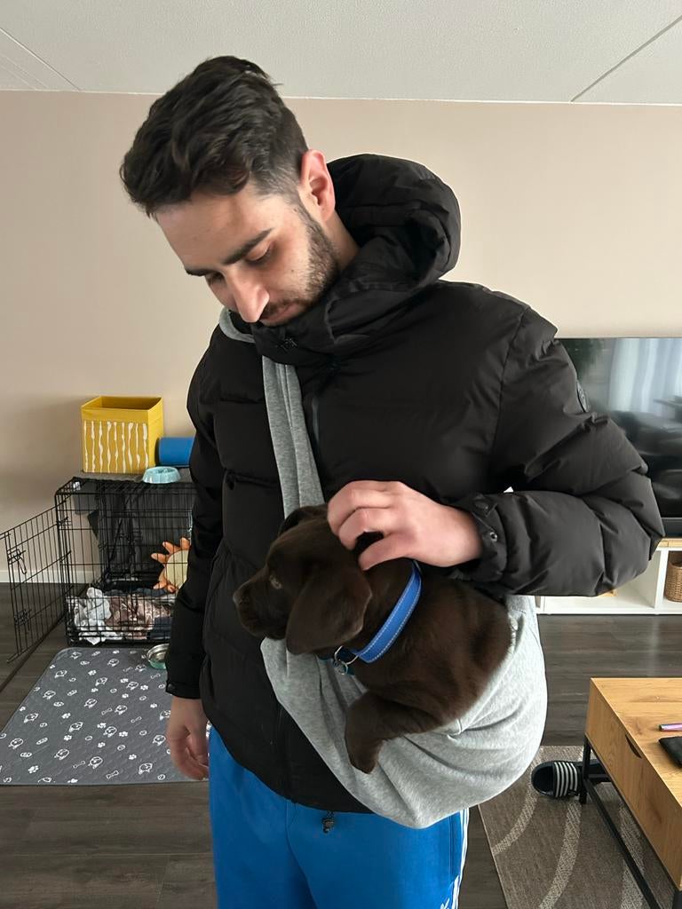 Draagzak / Puppy sling voor honden, puppy’s en katten, Dieren en Toebehoren, Ophalen, Zo goed als nieuw