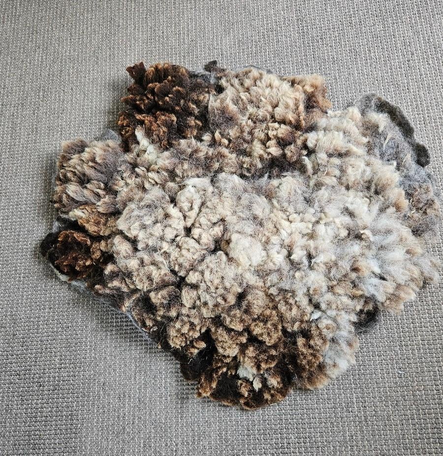 Schapenvacht op wolvilt, diervriendelijk en duurzaam, 50 tot 100 cm, Bruin, Nieuw, Landelijk