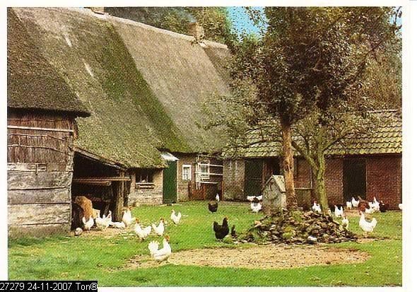 Ansichtkaart	Drenthe	Boerderij, Verzenden, 1980 tot heden, Gelopen, Drenthe