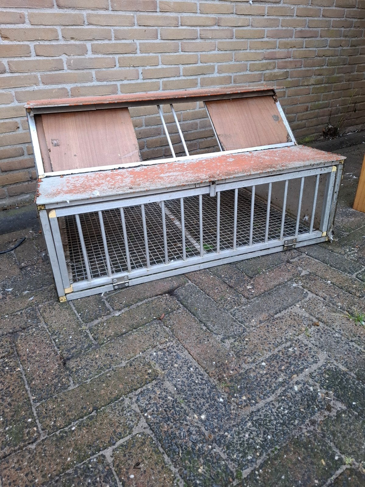 spoetnik 80x40x50, Postduif