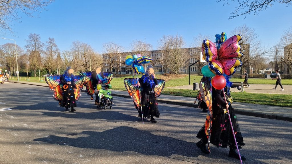 Loopgroep carnaval, Carnaval, Zo goed als nieuw, Kleding, Ophalen