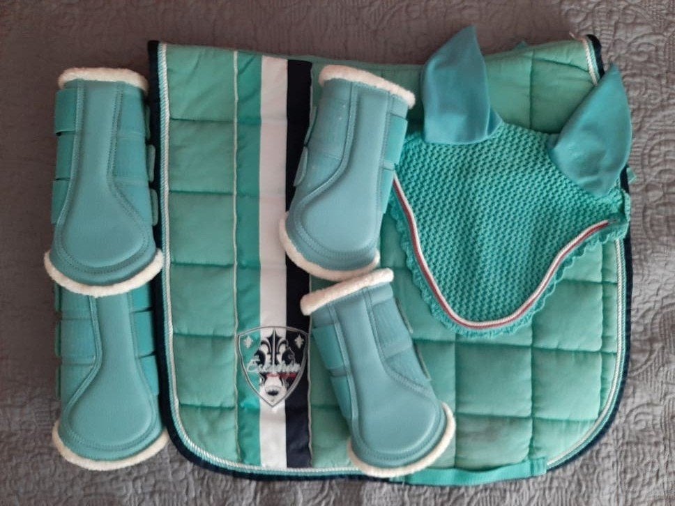 eskadron set full dressuur nieuwe ps of sweden flextrainers, Dieren en Toebehoren, Ophalen of Verzenden, Nieuw