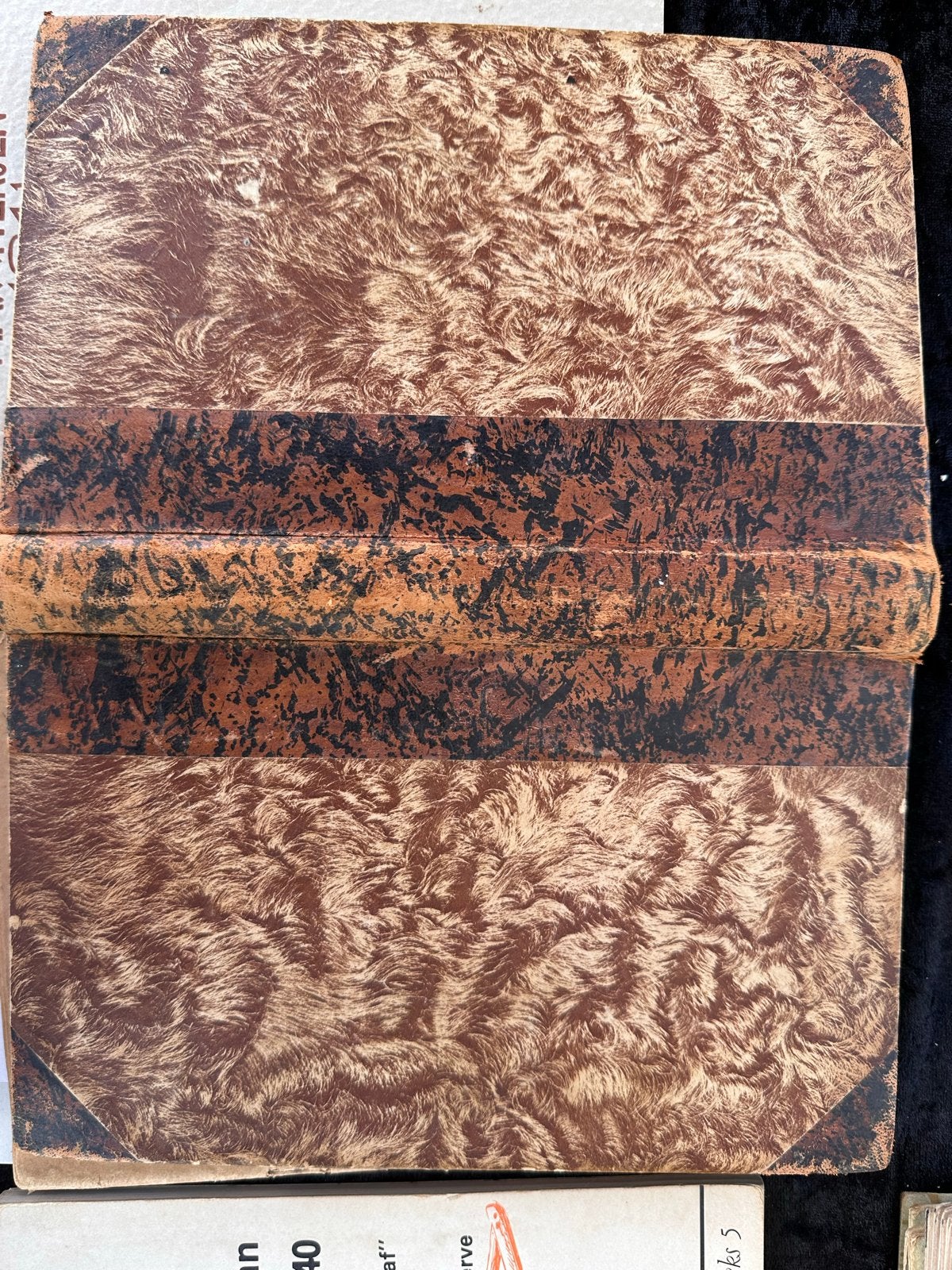 Enige Zeeuwsche Oudheden door Jacobus Ermerins (1786), Ophalen of Verzenden, 17e en 18e eeuw, Gelezen