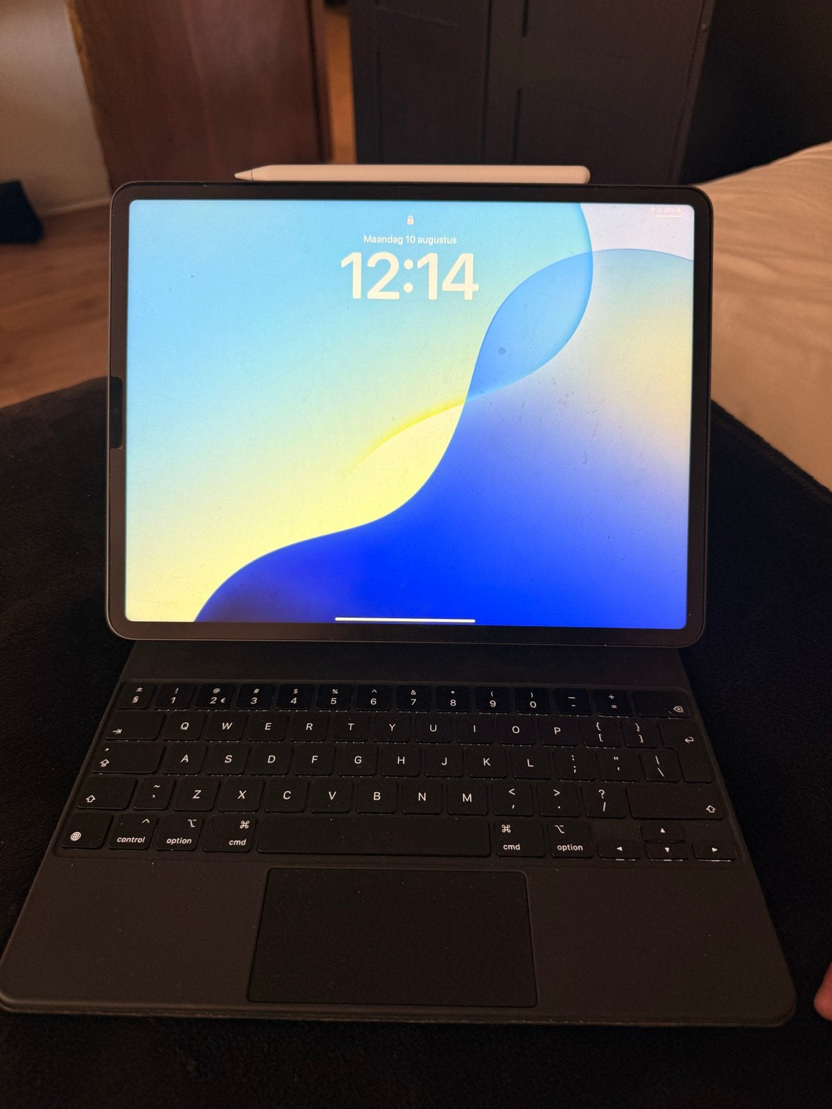 Apple iPad Pro 12,9 inch (2020) met Magic Keyboard en Pencil, Computers en Software, Apple iPads, Ophalen, 11 inch, Zo goed als nieuw