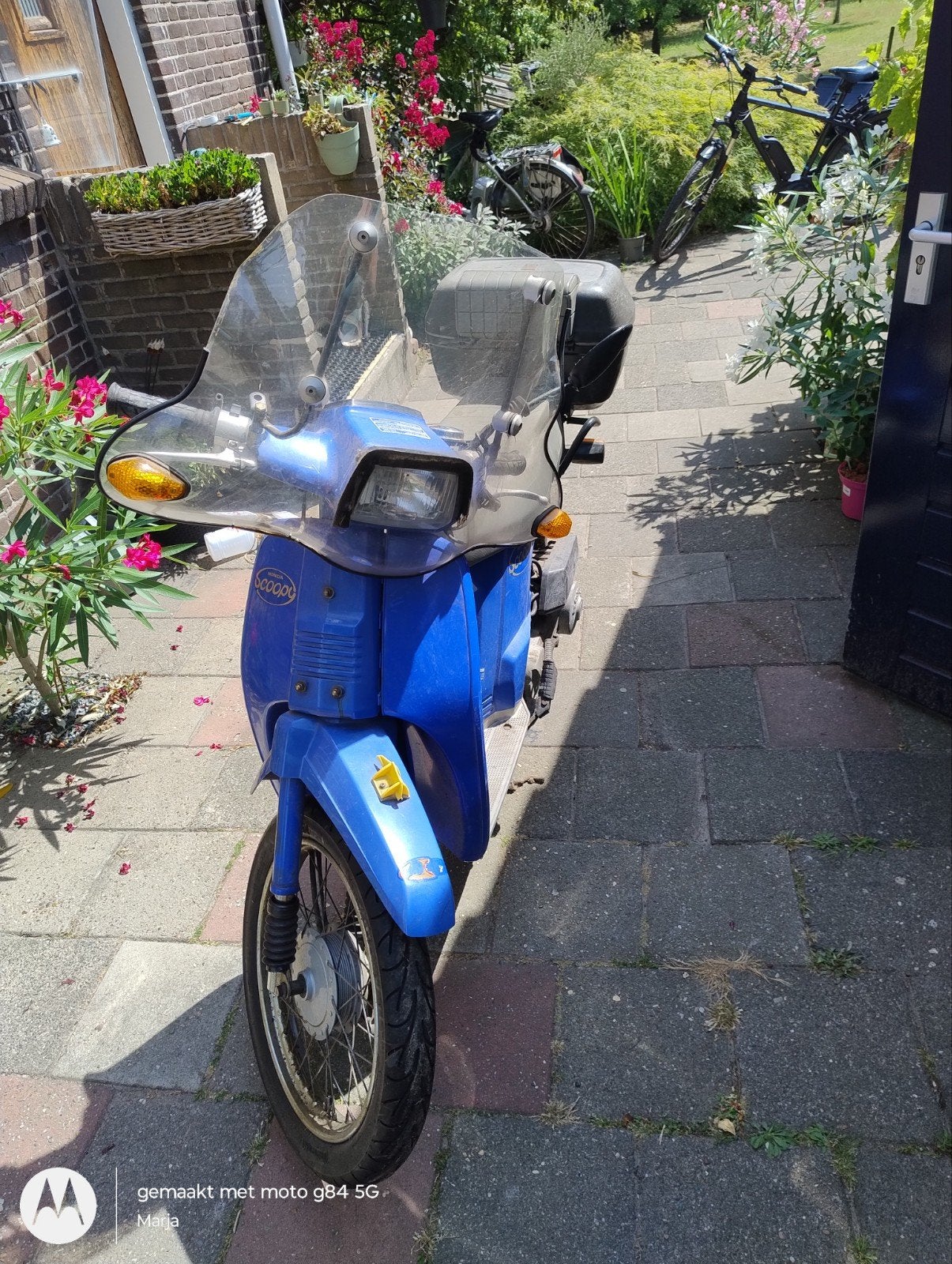 Honda Scoopy SH 50, Ophalen, Gebruikt, Overige modellen