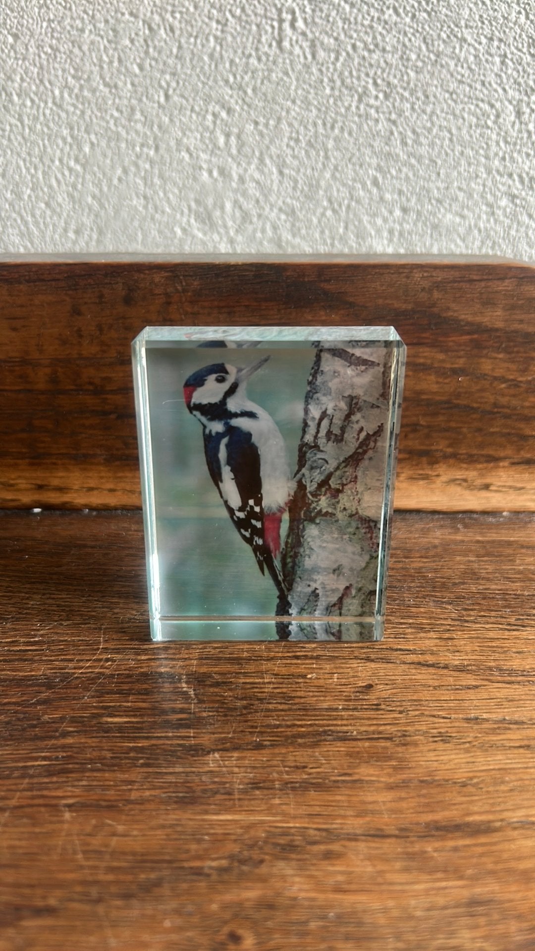 Foto glas blokje: specht op boom kleurrijke glas decoratie, Ophalen of Verzenden, Zo goed als nieuw, Overige typen