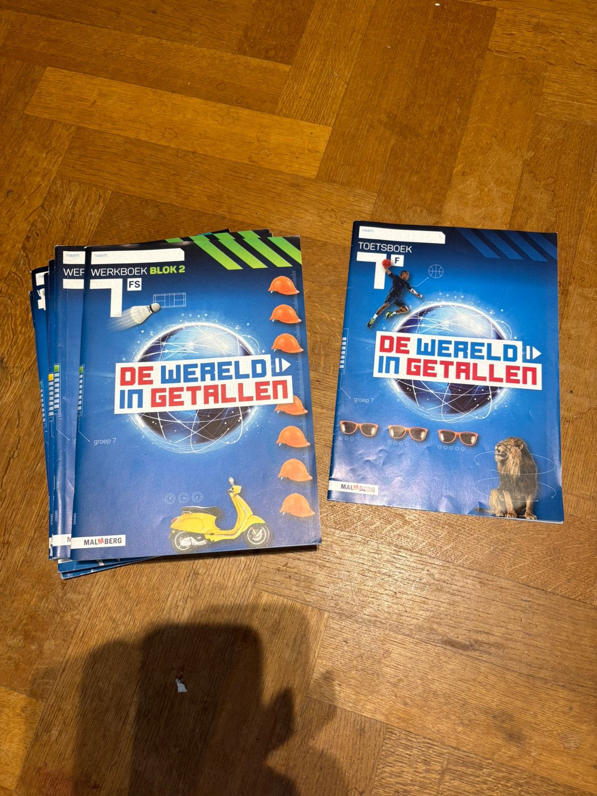 De wereld in getallen werkboeken  en toetsboek, Boeken, Ophalen of Verzenden, Zo goed als nieuw, Overige niveaus