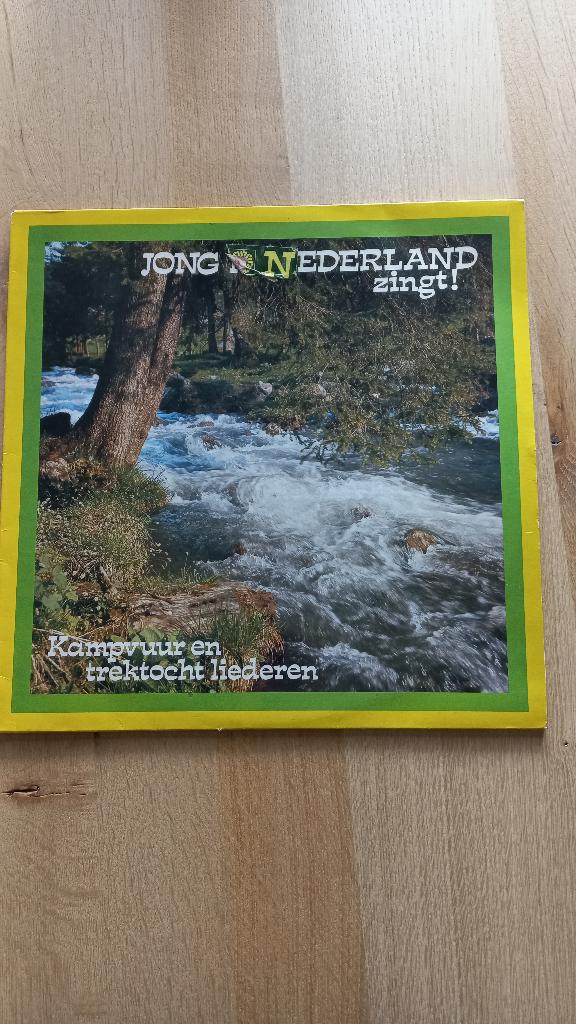 jong nederland limburg, Inclusief binnenhoes, Ophalen of Verzenden, Gebruikt, 12 inch