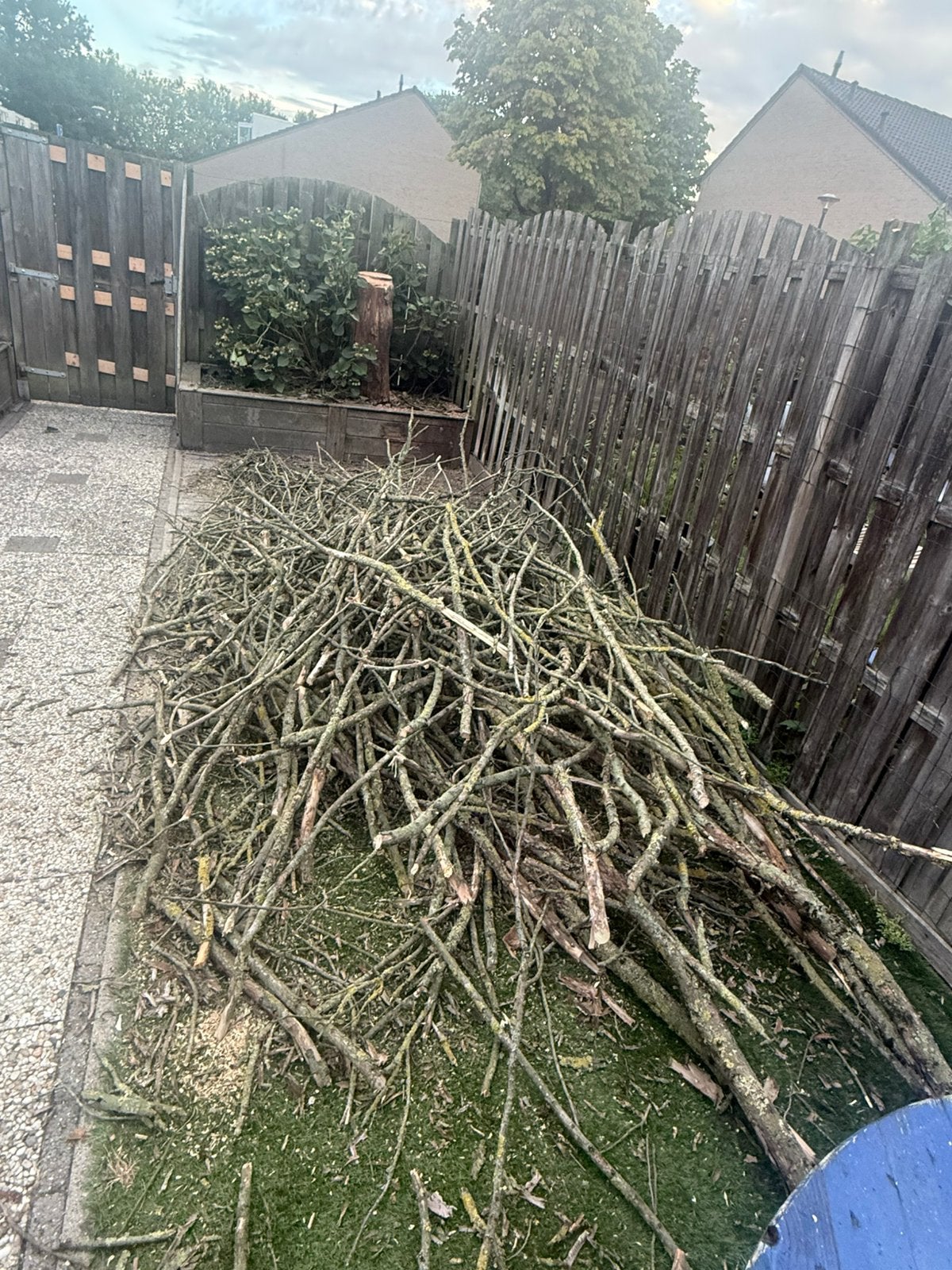 Brandhout, boomstammen GRATIS, Tuin en Terras, 6 m³ of meer, Ophalen, Overige houtsoorten, Blokken