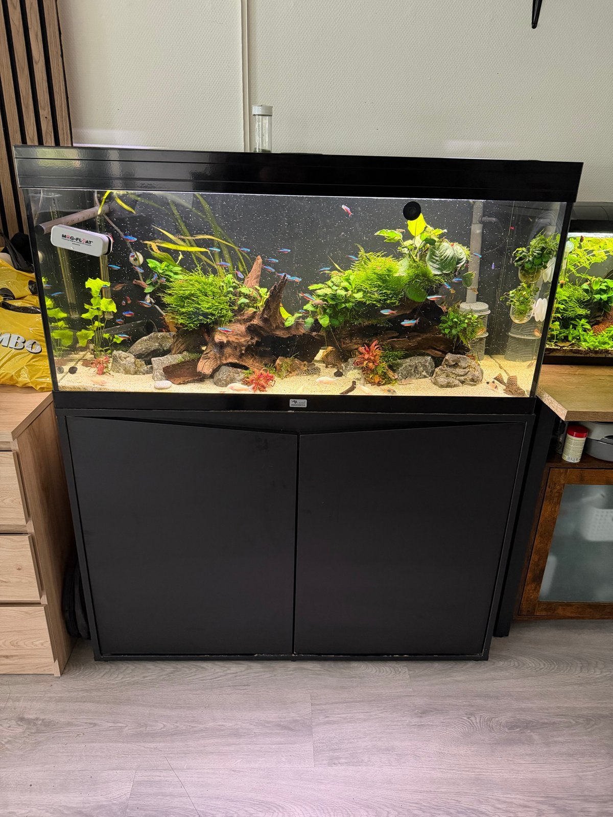 Aquatlantis 180l Aquarium met vissen en toebehorende, Ophalen, Gevuld zoetwateraquarium