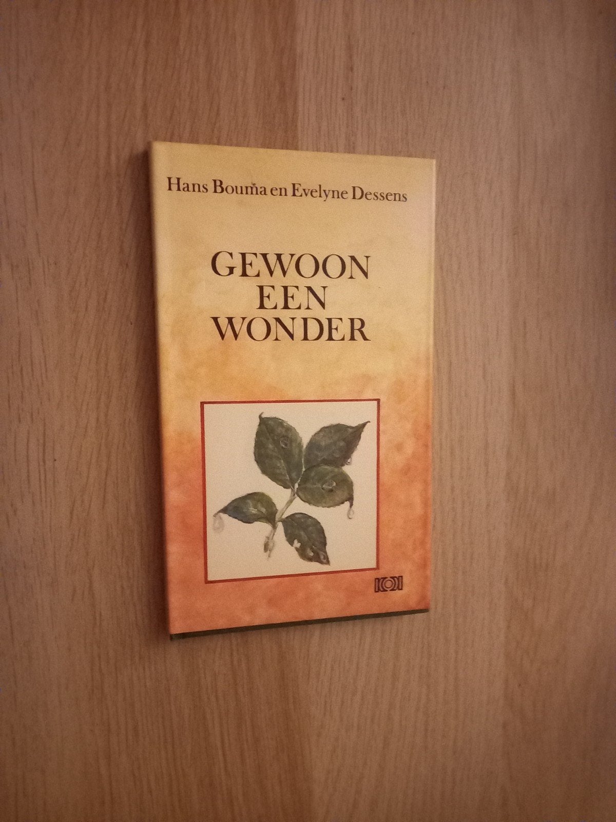 Gewoon een Wonder - Hans Bouma en Evelyne Dessens, Ophalen, Gelezen, Hans Bouma en Evelyne Dessens, Nederland