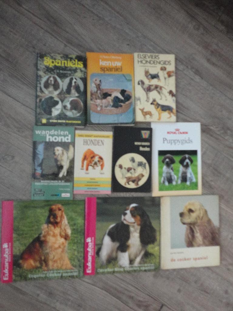 VEEL LEUKE BOEKJES OVER HONDEN/SPANIELS/ 1,- /7,50, Ophalen of Verzenden, Zo goed als nieuw, Honden
