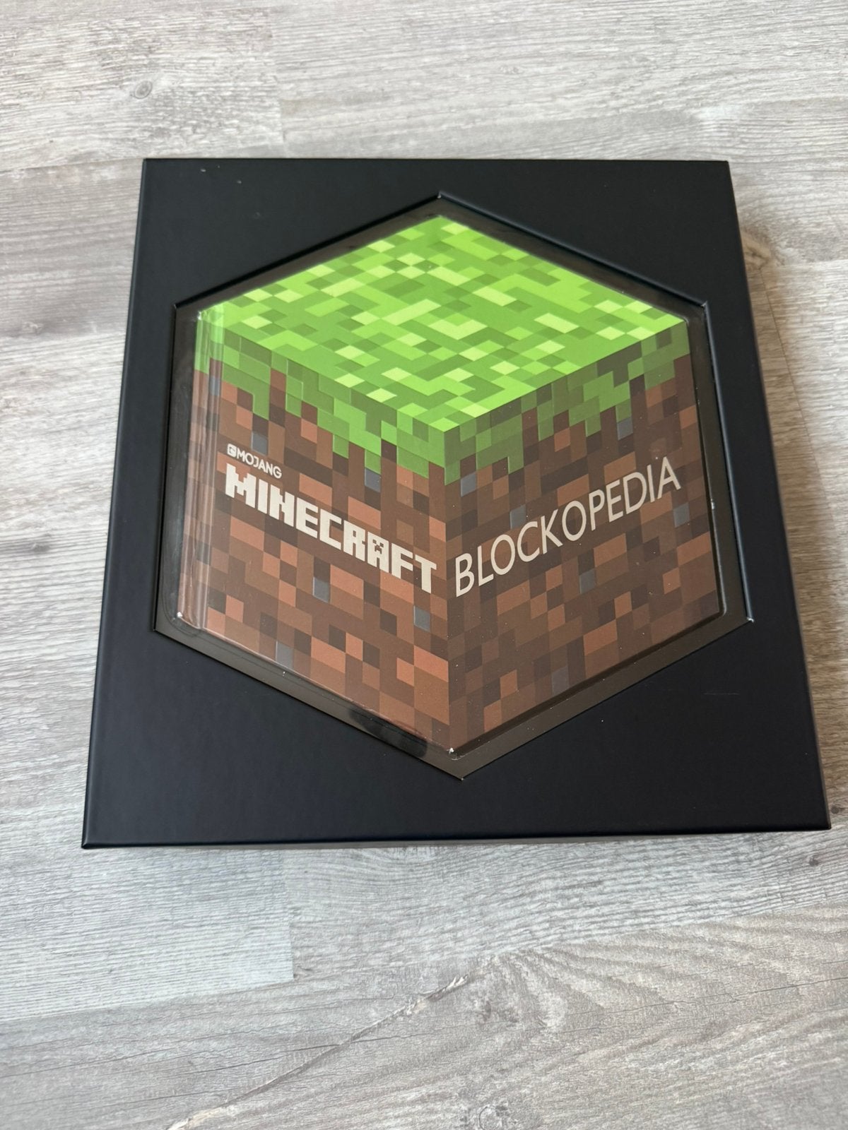 Blockopedia, Boeken, Ophalen of Verzenden, Zo goed als nieuw, Non-fictie