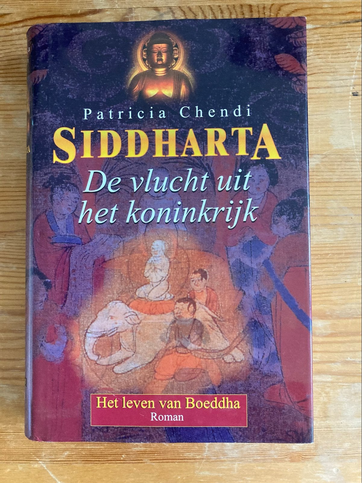 Siddharta: De vlucht uit het koninkrijk - Patricia Chendi, Ophalen of Verzenden, Gelezen, Nederland