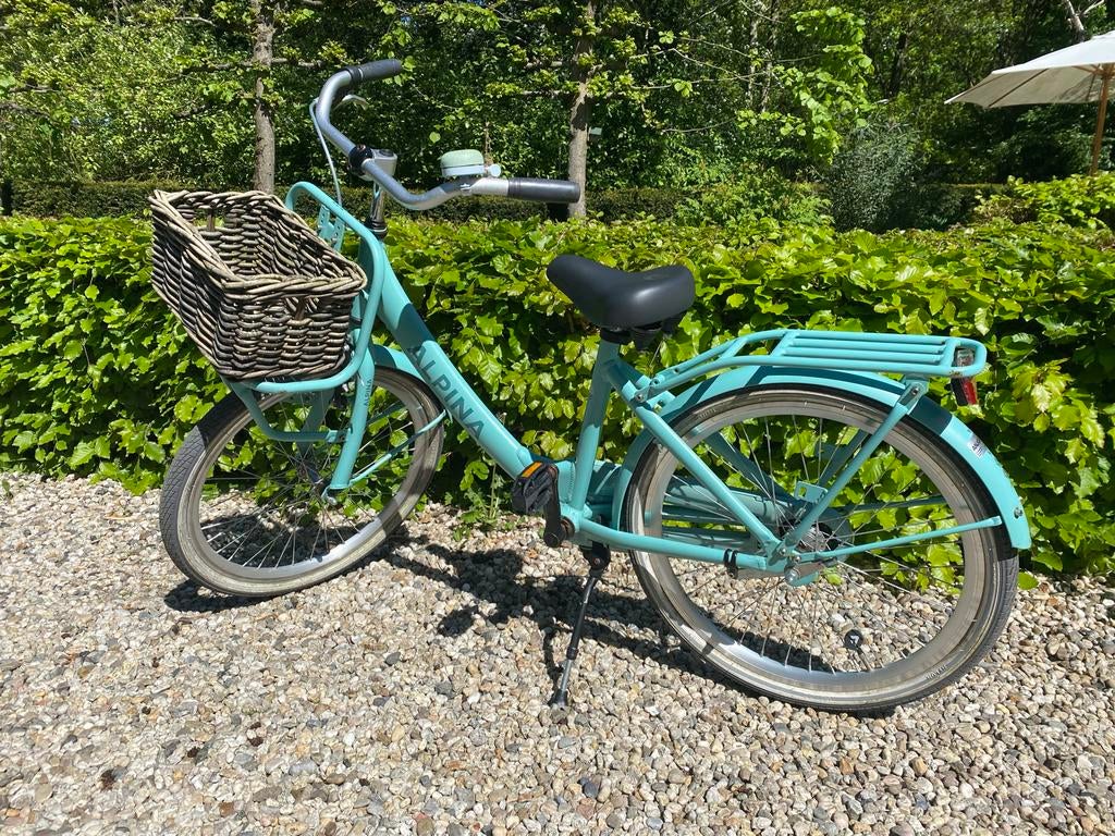 Alpina Clubb meisjesfiets 22 inch mintgroen, Ophalen, Terugtraprem, 22 inch, Gebruikt