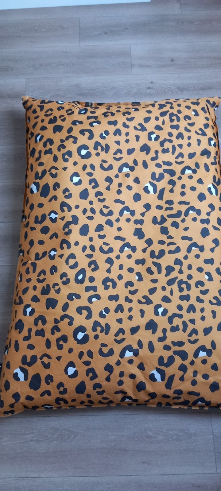 Zitzak met luipaardprint - vandaag GRATIS, Ophalen, Gebruikt, Meerkleurig, Zitzak