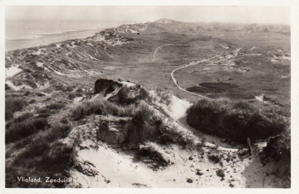 Vlieland   -   Zeeduinen                      =0008=, Ophalen of Verzenden, 1940 tot 1960, Ongelopen, Waddeneilanden