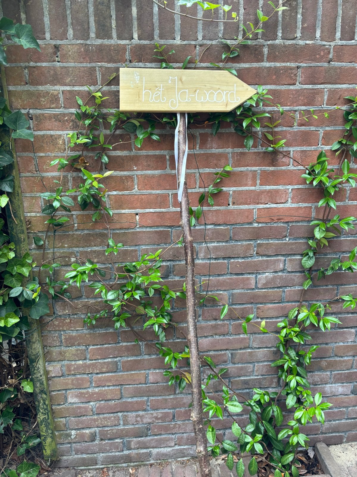 Huwelijksdecoratie groen / wit, Hobby en Vrije tijd, Feestartikelen, Ophalen, Zo goed als nieuw, Versiering, Geboorte of Huwelijk