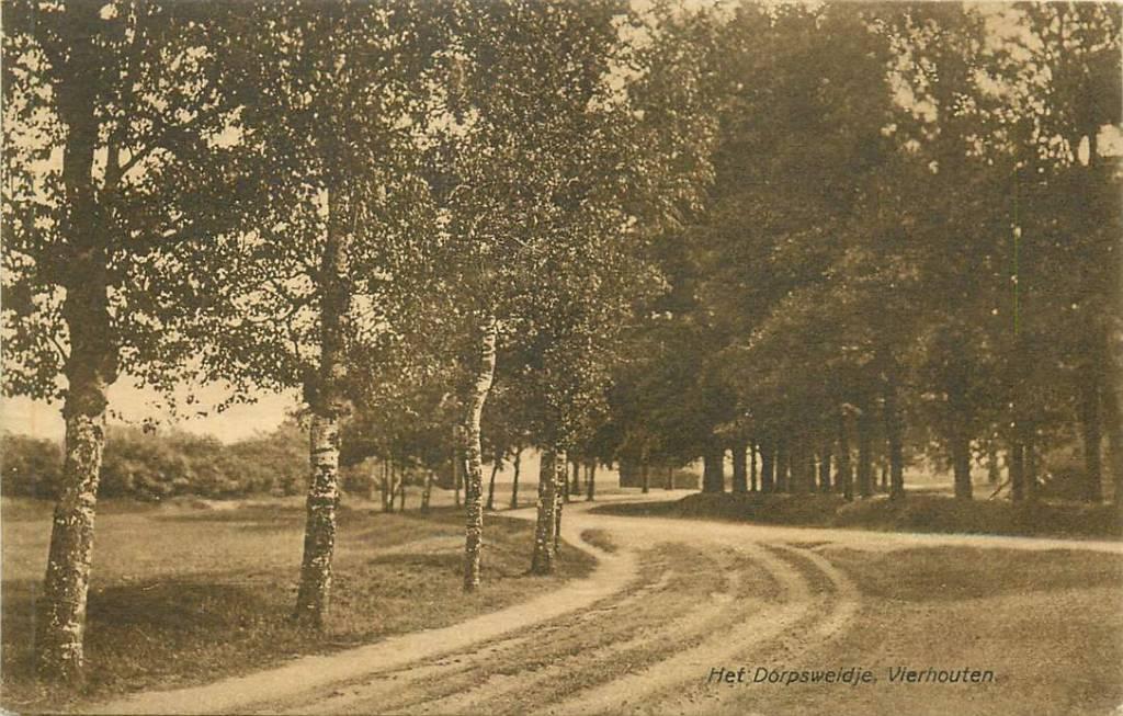 381-343-033 Vierhouten Het Dorpsweidje, Verzenden, Voor 1920, Gelderland